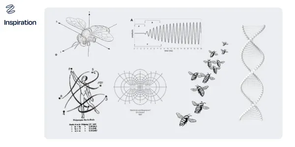 Various scientific and artistic illustrations used as inspiration for Zanda’s branding. Includes a bee diagram with flight axes, soundwave patterns, DNA helix, bee flight paths, and abstract geometric designs, symbolizing movement, structure, and natural energy.